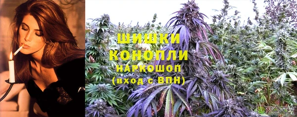 спайс Алексин
