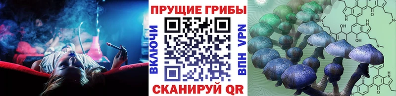 Купить  Козьмодемьянск  Псилоцибиновые грибы GOLDEN TEACHER 